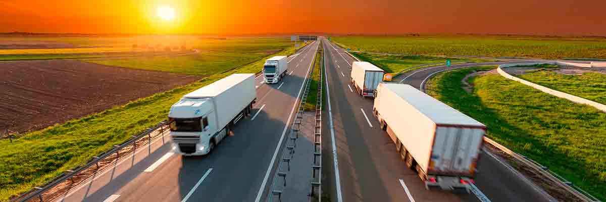 Alpha Cargo Services - Road Transport